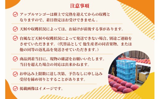 沖縄県宮古島・完熟マンゴー900g（2玉）【特選贈答用】ティダマンゴー宮古島農園（AI002 ）