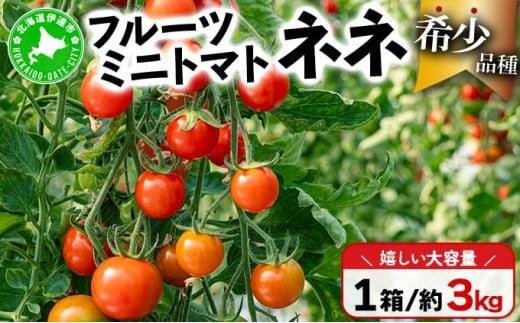 
[№5525-0524] 北海道産 ミニトマト ネネ 約3kg フルーツトマト 幻の 高糖度 ジューシー プチ トマト 甘い 濃厚 彩り 鮮やか 希少 お中元 お歳暮 暑中見舞い 帰省土産 ご自宅用 産地直送 大滝農園 送料無料 北海道 伊達
