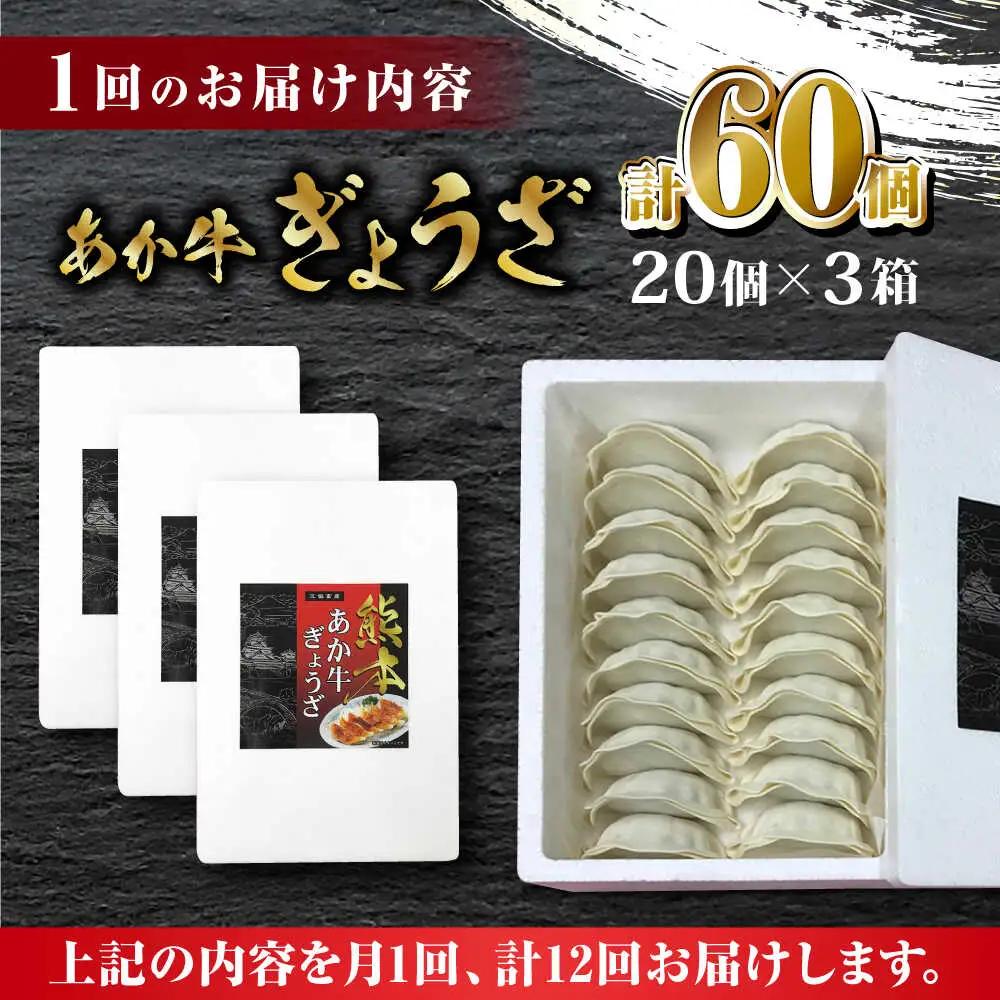 【全12回定期便】熊本和牛 あか牛ぎょうざ 20個×3箱【有限会社 三協畜産】 国産  餃子 ぎょうざ ギョウザ [ZEB092]