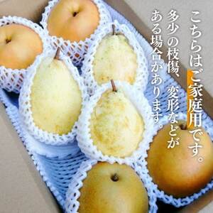 【きよとうファーム】梨好きのための、梨2-3食べ比べ ご家庭用 5-7玉(岡山県産)【1559803】