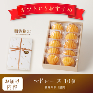 マドレーヌクラッシック　10個入り