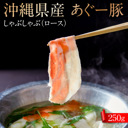 沖縄県産あぐー豚しゃぶしゃぶ　ロース　250g I  あぐー豚 しゃぶしゃぶ 沖縄県産  ブランド豚 沖縄県 南城市 ふるさと納税 トレンドミート