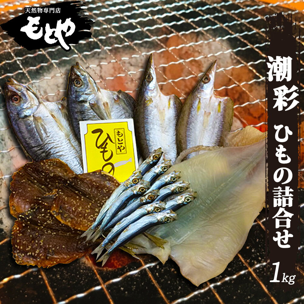 【ふるさと納税】潮彩（ひもの詰合せ）| 詰め合わせ 干物 魚 あじ するめいか いわし かます セット 添加物不使用