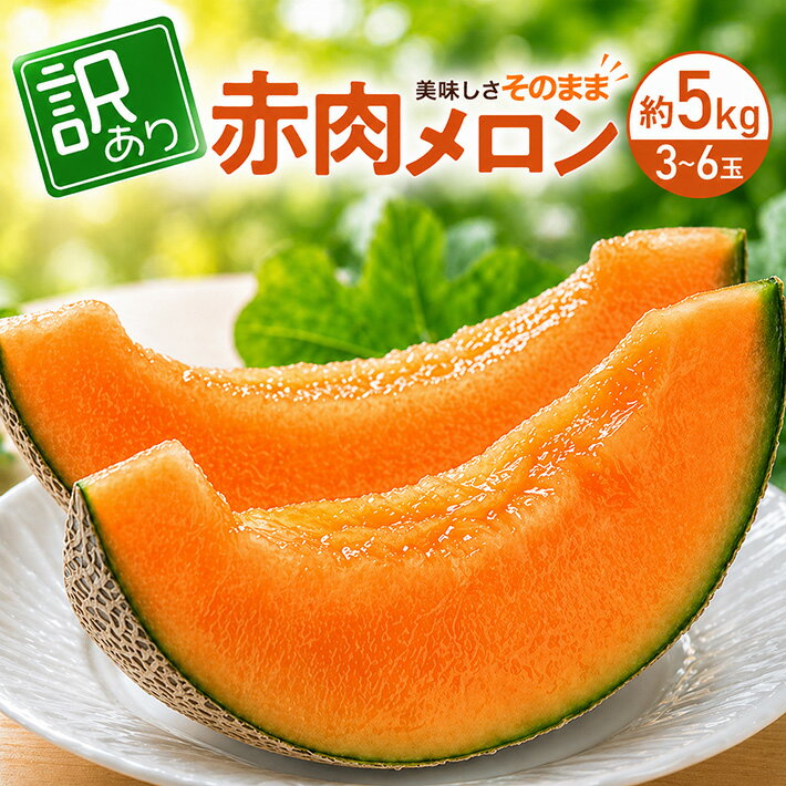 【ふるさと納税】訳アリ 赤肉メロン 優品 品種おまかせ 3～6玉 約5kg 7月上旬〜8月上旬頃お届け ※着日指定不可 メロン 果物 くだもの わけあり フルーツ 夏 旬 酒田 庄内 庄内砂丘