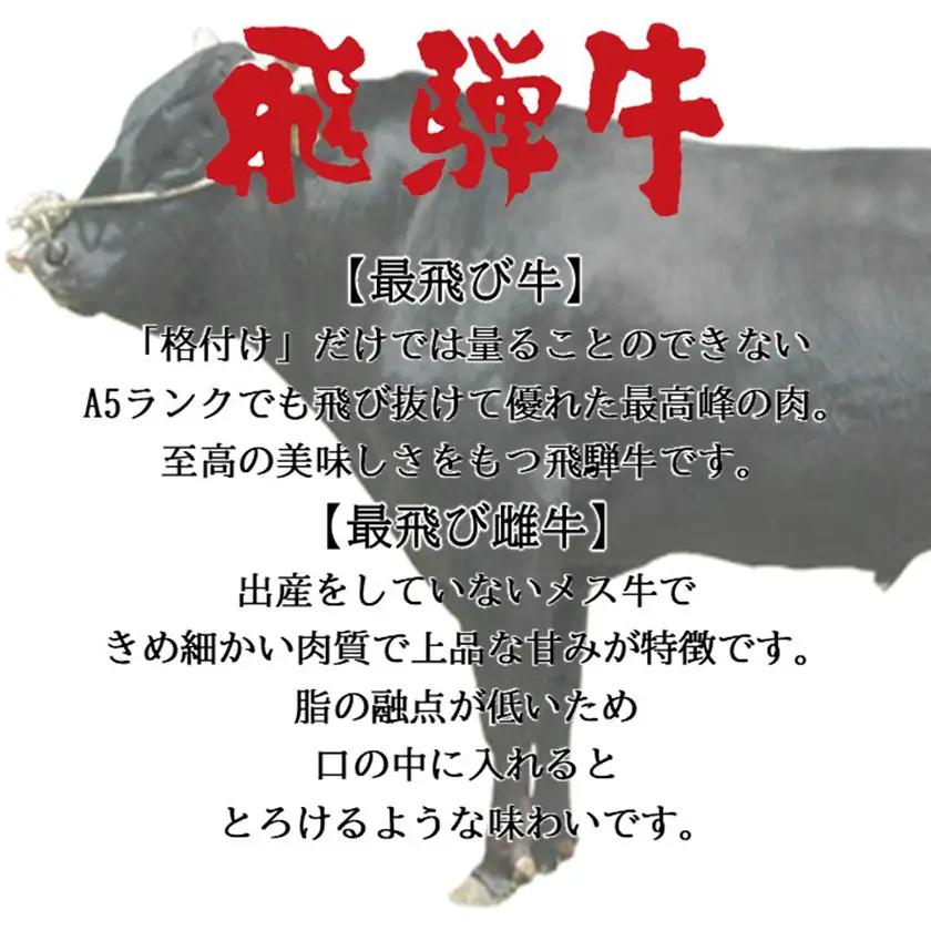 【最飛び雌牛】飛騨牛A5等級切り落とし　600g【配送不可地域：離島】【1520140】