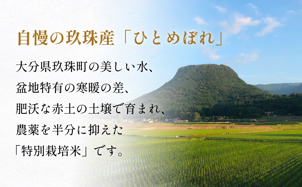 【お中元対象】大分県産 玖珠米 ひとめぼれ 2kg 白米 精米 