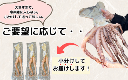 三河湾・知多半島産 天然 真蛸 天日干し 600g 小分け 岬だより たこ