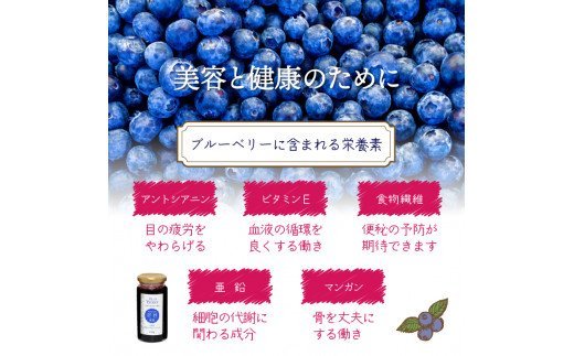 河野農園の無添加ブルーベリーソース150g×5本 
