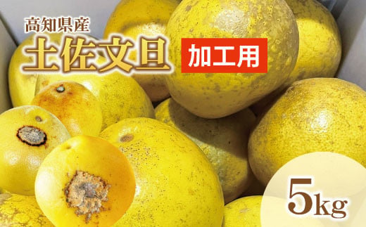 【加工用】土佐文旦(ぶんたん) Ｍ～５L混合 約5kg【株式会社とさもん】