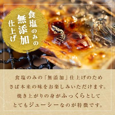ふるさと納税 石巻市 < 訳あり > 無添加 塩サバフィレ 1kg 魚 塩さば 冷凍 不揃い 規格外 焼き魚 焼魚 煮魚 |  | 02