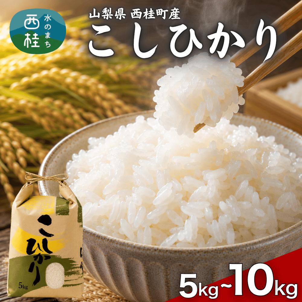 
                  コシヒカリ  選べる容量 / 国産 こしひかり  5キロ 10キロ 米 お米 保存袋 生活必需品 ギフト 贈り物 お歳暮 ふるさと納税 送料無料 [注目] 【n0663_gou】
                