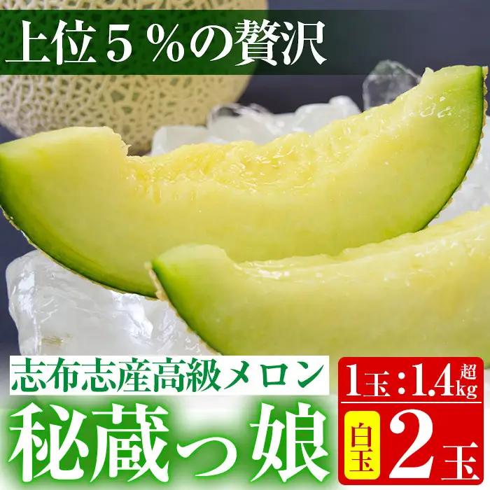 【春限定】極上メロン「秘蔵っ娘」白玉(青肉)2個 メロン マスクメロン 果物 くだもの デザート 青肉 b5-037-s