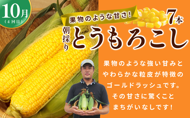 【定期便】泉州TONOファームが贈る定期便 野菜とフルーツの旬の味リレー【7月～10月発送 水ナス トウモロコシ 枝豆 いちじく 茄子 とうもろこし 豆 イチジク なす 新鮮 泉州 やさい フルーツ】