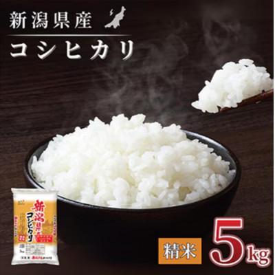 ふるさと納税 見附市 【毎月定期便】【6か月定期便】新潟県産 コシヒカリ 5kg (精米)全6回