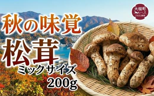 ※本数・大きさなどはイメージです。