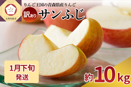 【2026年1月下旬発送】 【訳あり】 りんご 約10kg サンふじ 青森産