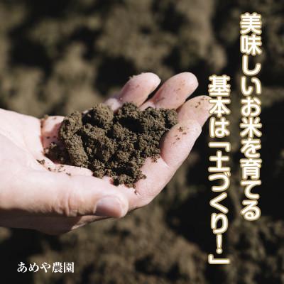 ふるさと納税 十日町市 魚沼産 コシヒカリ 10kg 精米 産地直送 新潟県十日町市 |  | 01