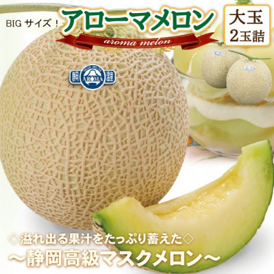 
            ＜通年出荷＞アローマメロン(大玉)　2玉詰＜静岡高級マスクメロン＞_ メロン めろん アローマメロン 大玉 化粧箱 2玉 果物 くだもの フルーツ デザート 甘い ギフト プレゼント 産地直送 静岡県 送料無料 【1541722】
          