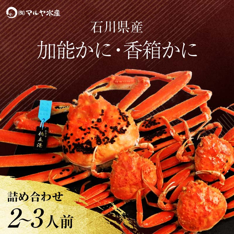 【ふるさと納税】【時期が選べる】【先行予約】【冷蔵発送】石川県産 加能かに/ズワイガニ ( 産地証明タグ付 ) 大サイズ 1匹 + 香箱かに 3匹 詰合せ ( 2～3人前 ) 食べ比べセット ズワイガニ ずわいがに 先行予約 予約 ブランド蟹 ボイル 茹で 蟹 かに F6P-0678