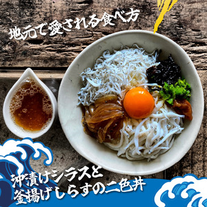 【ふっくら仕上げ】網元の作る釜揚げしらす約1kg(約250gx4P小分け包装)【配送不可地域：離島】【1214774】