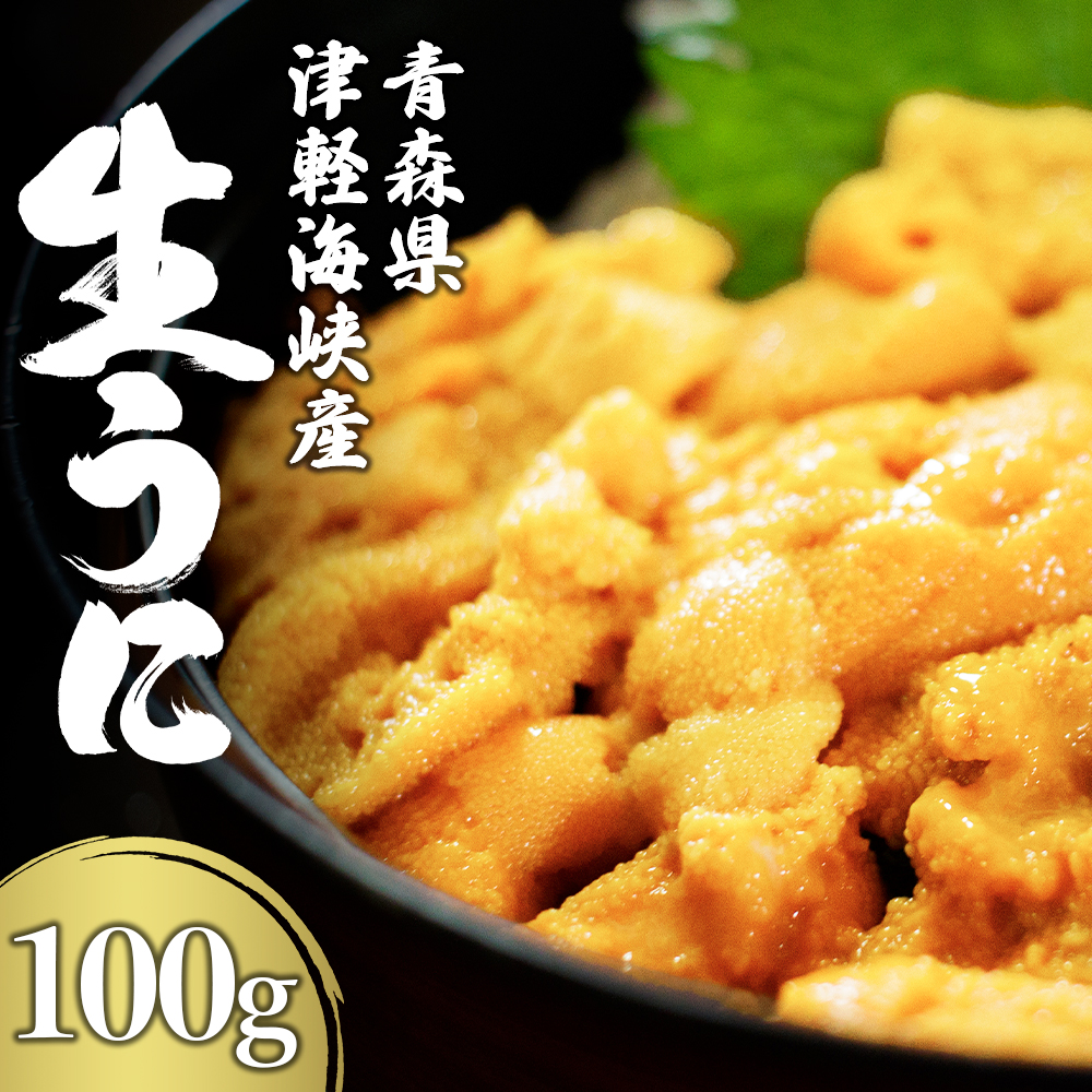 津軽海峡産　生うに　パック　100g×1　キタムラサキウニ　大畑漁協