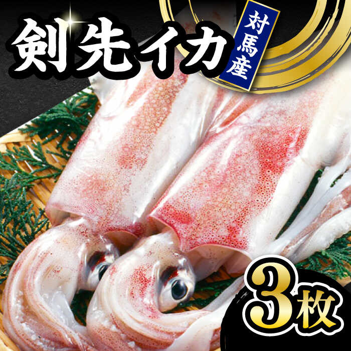 【ふるさと納税】対馬産剣先イカ（生冷凍）3枚 [WAB003]