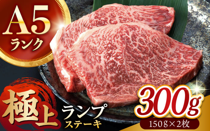 長崎和牛 A5 ランプステーキ 300g(150g×2枚) / ランプ ステーキ 長崎和牛 A5ランク 希少部位 / 諫早市 / 野中精肉店 [AHCW002]