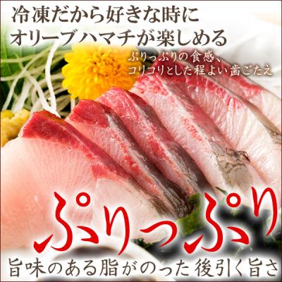 ふるさと納税 多度津町 オリーブハマチ　冷凍　柵2本【A-105】 |  | 01