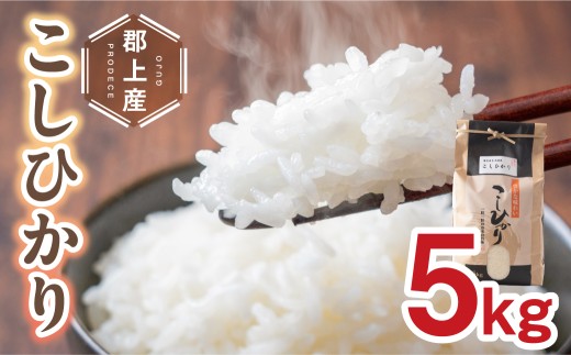 【先行予約】令和8年産 郡上産こしひかり 5kg 食品 米 精米 白米 コシヒカリ お米 コメ こめ 米 14000円 G0411-26a