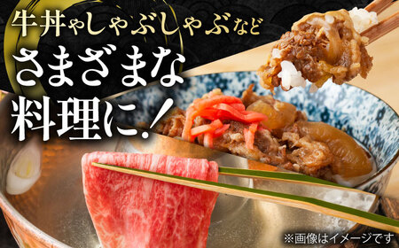 佐賀県産 黒毛和牛 贅沢スライス すき焼き・しゃぶしゃぶ用 肩ロース・リブロース 600g 1パック【株式会社いろは精肉店】[IAG006]