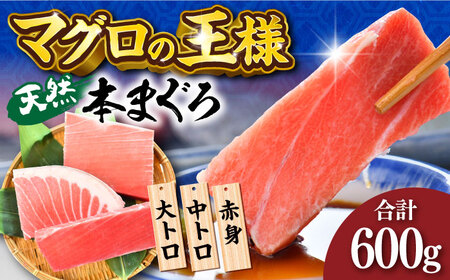 天然 本まぐろ 大トロ・中トロ・赤身（約200ｇ×3柵）約600ｇ 【横須賀商工会議所 おもてなしギフト事務局（本まぐろ直売所）】[AKAK018]