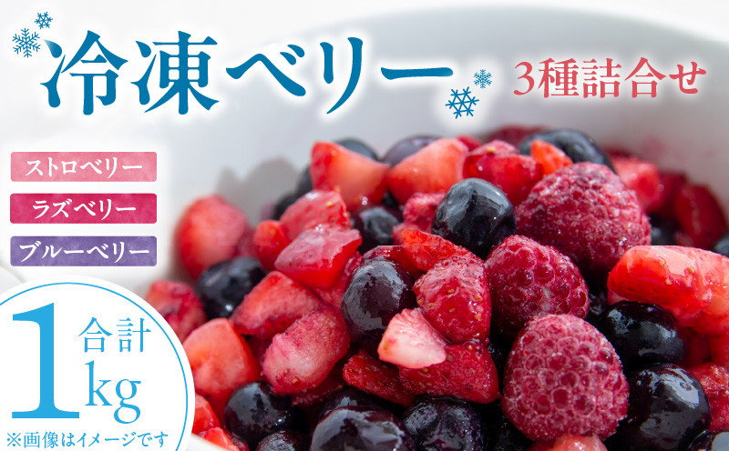 
                  冷凍ベリー3種詰合せ（ストロベリー500g・ラズベリー250g・ブルーベリー250g）_冷凍 ベリー 3種 詰め合わせ ストロベリー 500g ラズベリー ブルーベリー 各250g 新鮮 ジャム お菓子作り おすすめ 使い方 いろいろ 果物 フルーツ 果実 食品 デザート グルメ お取り寄せ お取り寄せグルメ 福岡県 久留米市 送料無料_Fx017
                