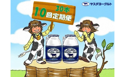 【10ヶ月定期便】ヤスダヨーグルト 150g×30本×10回 小ボトル 無添加 搾りたて こだわり生乳 濃厚 飲むヨーグルト のむよーぐると ヨーグルト 1B15131