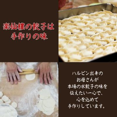 ふるさと納税 京都市 【楽仙樓】セロリ入り水餃子(8個入り) 2袋 |  | 03