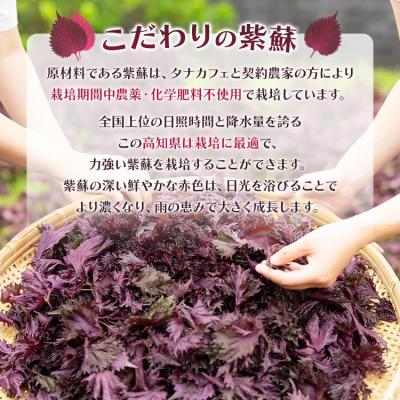 ふるさと納税 香南市 赤紫蘇シロップ(赤しそシロップ) 3本 合計900ml tc-0009 |  | 02