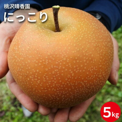 【ふるさと納税】【桃沢晴香園】にっこり梨 約5kg(7玉)【配送不可地域：離島・沖縄県】【1606256】