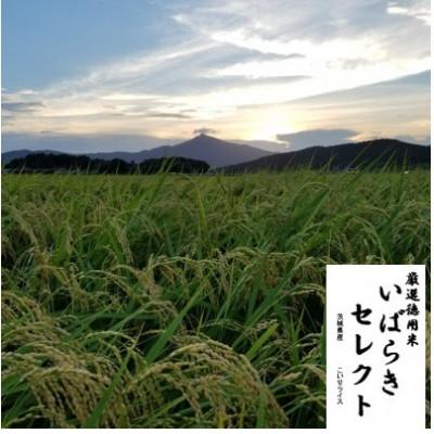 ふるさと納税 石岡市 茨城県産こしひかりミックス 白米5kg 令和7年産