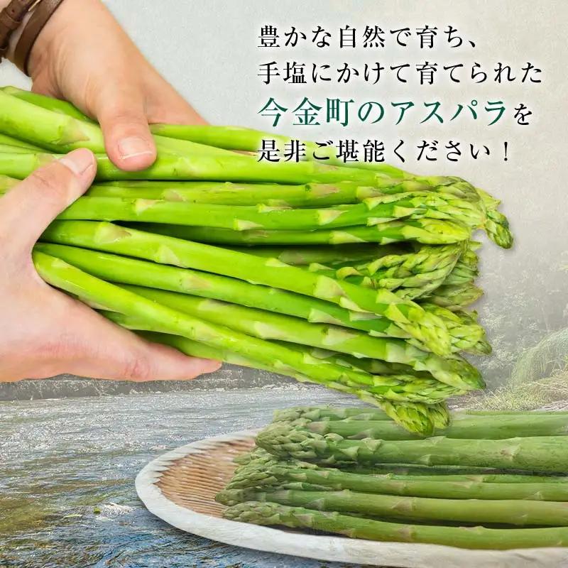 【先行予約】朝採れ新鮮アスパラ 750g （Mサイズ） (2027年3月下旬~6月中旬または2027年7月上旬~9月上旬発送) 野菜 秀品 北海道産 バーベキュー BBQ キャンプ 旬野菜 アスパラガ