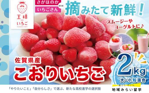 
【先行予約｜王様のいちご】佐賀県江北町産 こおりいちご 2kg（冷凍いちご）
