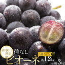 【ふるさと納税】【新鮮・産直】和歌山かつらぎ町産たねなしピオーネ約1.2kg／約2kg／約3kg ★2025年8月中旬頃より順次発送 | 和歌山県 和歌山 九度山町 返礼品 お取り寄せグルメ お取り寄せ 取り寄せ グルメ フルーツ 果物 くだもの 特産品 名産品 ピオーネ ぶどう 種なし