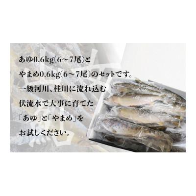 ふるさと納税 大月市 山梨県産　桂川の冷凍あゆ・やまめセット　計:約1.2kg(約12〜14尾) |  | 01