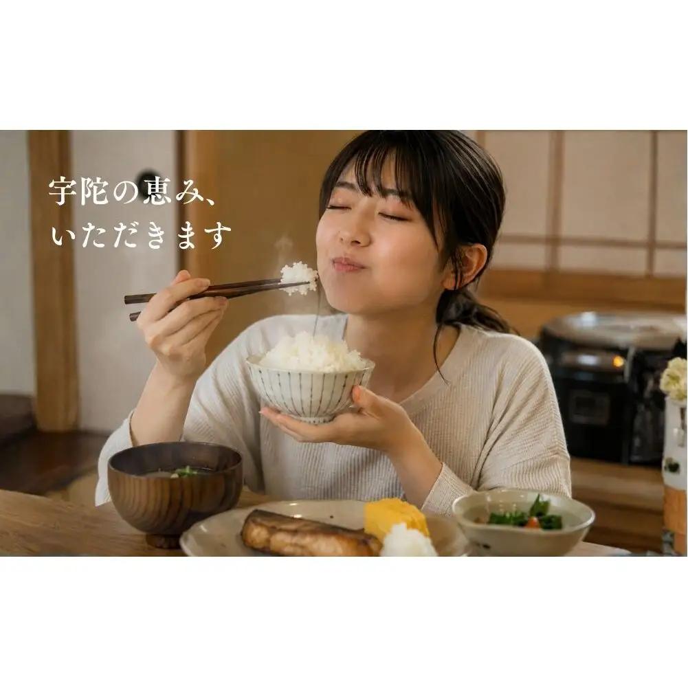 にじのきらめき 特別栽培米 5kg／ あかひと農園 米 白米 新米 精米 米 白米 精米 令和7年産 R7 2025年産 奈良県 宇陀市 あかひと米