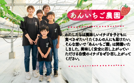 あんいちご園のいちご（紅ほっぺ）１箱２パック入り（2024年1月以降発送予定）