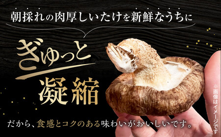 【小粒たっぷり】乾燥しいたけ 合同会社knot 奈良県 奈良市 なら J-126 しいたけ シイタケ 椎茸 しいたけ シイタケ 椎茸 しいたけ シイタケ 椎茸 しいたけ シイタケ 椎茸 しいたけ シイ