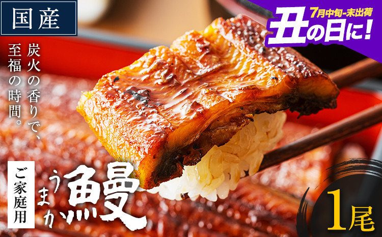 
                  うなぎ ご家庭用 1尾 国産 ランキング 獲得 鰻 真空パック おすすめ うなぎの蒲焼 《丑の日に！7月中旬-7月下旬出荷》 有頭 ふるさとのうぜい 鶏炭火焼 訳あり 簡易包装 不揃い ウナギ unagi 蒲焼 秋 冬 旬 配送時期 冷凍
                