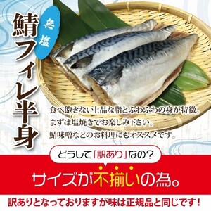 【訳あり】 さば サバ 北三陸産 無塩 鯖フィレ 半身 1kg （4～7枚入り） 【真空パック入り】 切身 フィレ 魚 海鮮 焼き魚 おかず