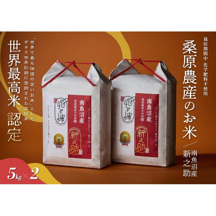 【R7年産】ギネス世界記録「世界最高米」認定 最高級南魚沼産新之助10kg(5kg×2) 桑原農産のお米