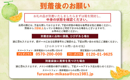 《2026年分受付中》とろける食感と甘い香り北海道三笠メロン2玉入（2.6kg以上）【0100104】