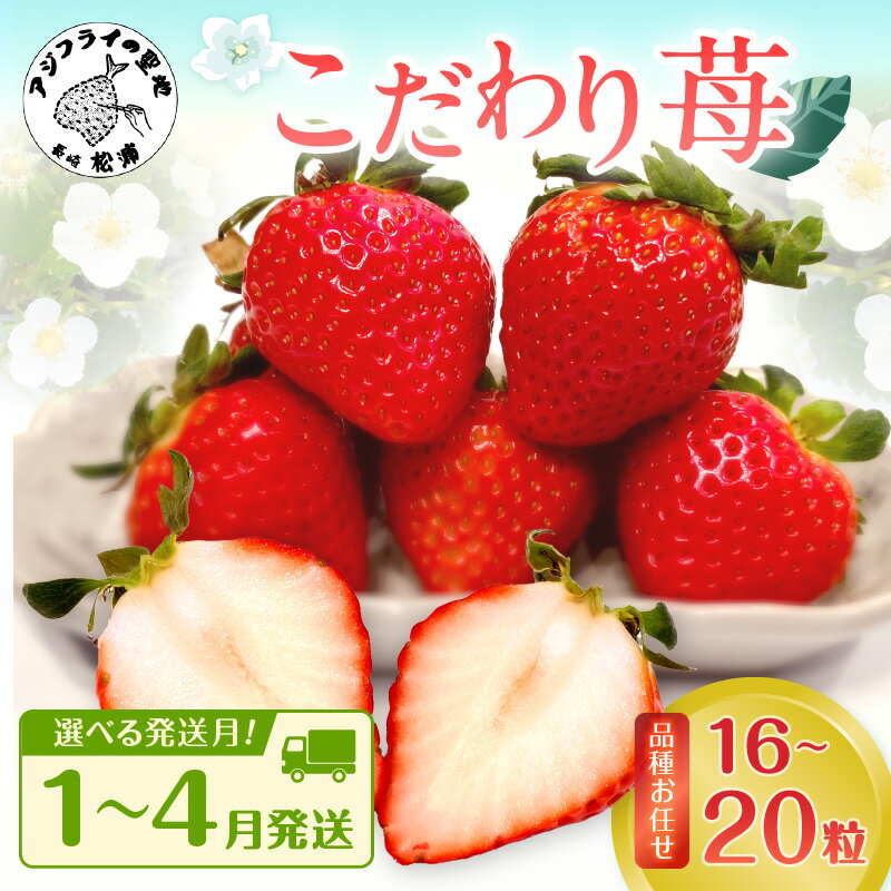 【ふるさと納税】こだわり苺　品種お任せ小箱8粒〜10粒×2パック いちご 苺 イチゴ 紅ほっぺ かおり野 さがほのか 恋みのり 果物 フルーツ フルーツサンド ケーキ