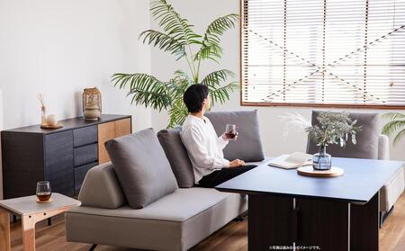 【本体取替カバー(同色)セット】 リバティ2 ソファ 160cm 3人掛け ライトグレー【モーブル】【大川家具】